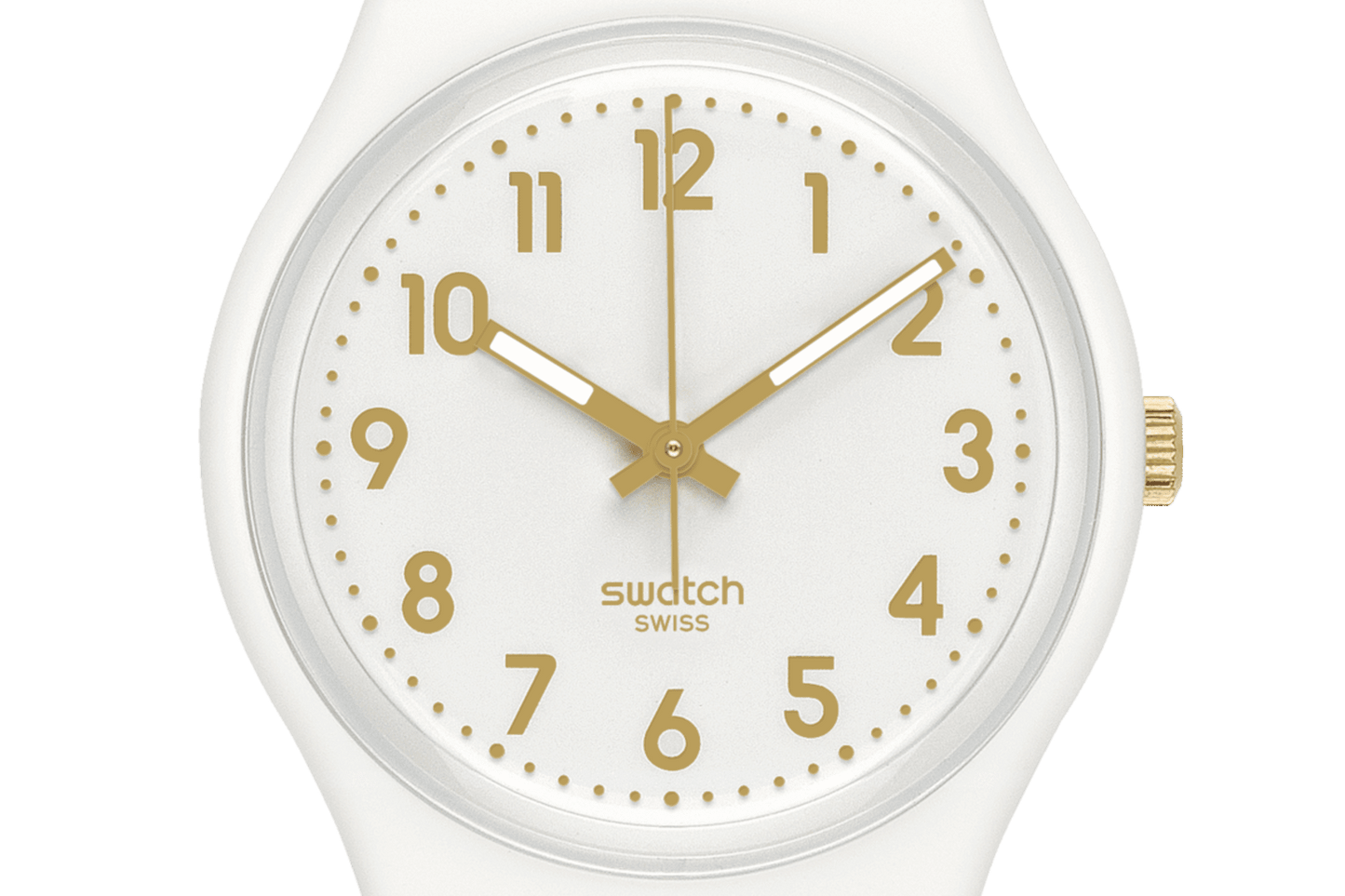 WHITE BISHOP product image 5