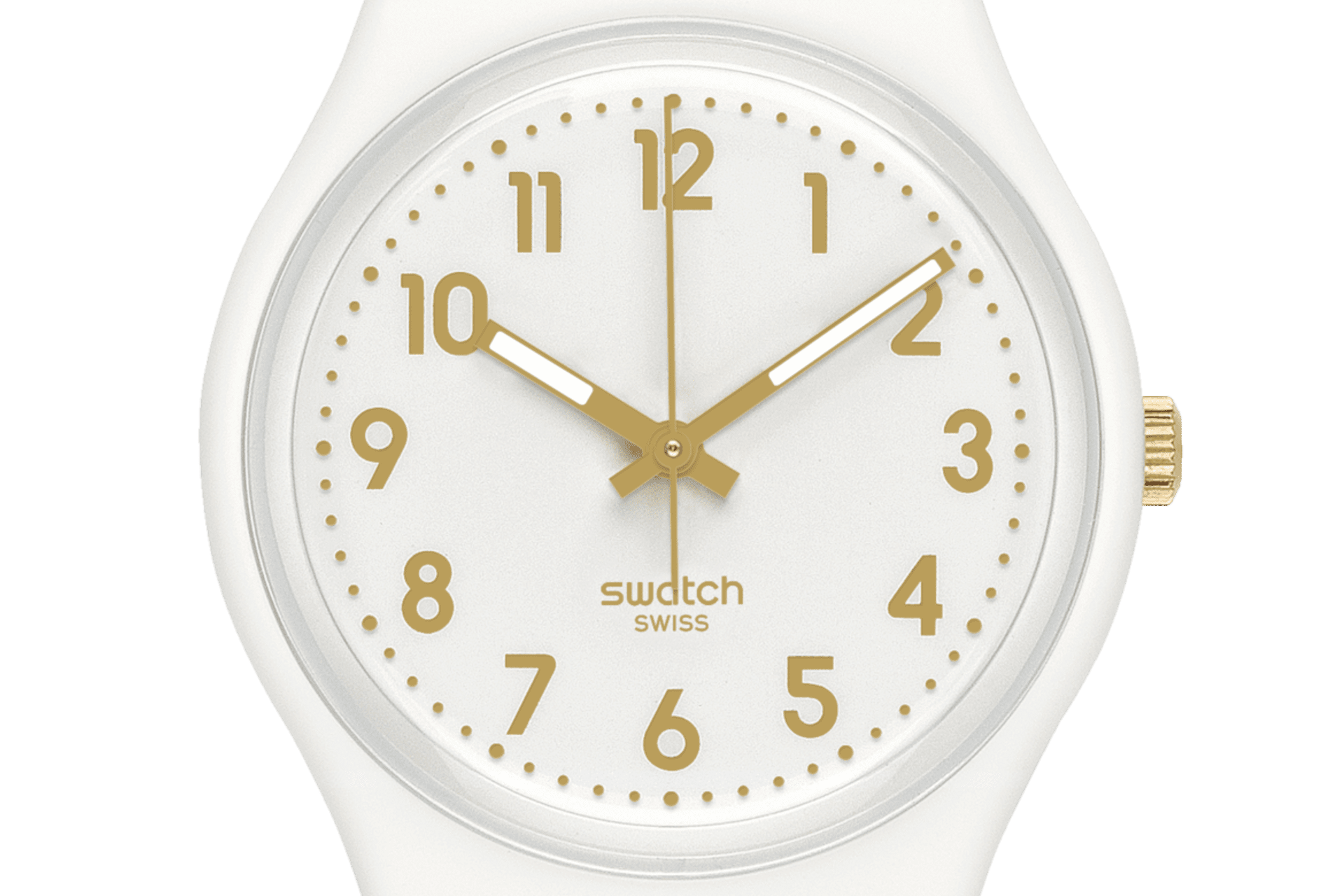 WHITE BISHOP product image 5